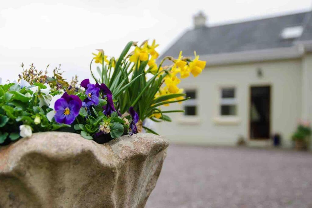 Kingfisher Riverside Retreat Kenmare Exteriér fotografie